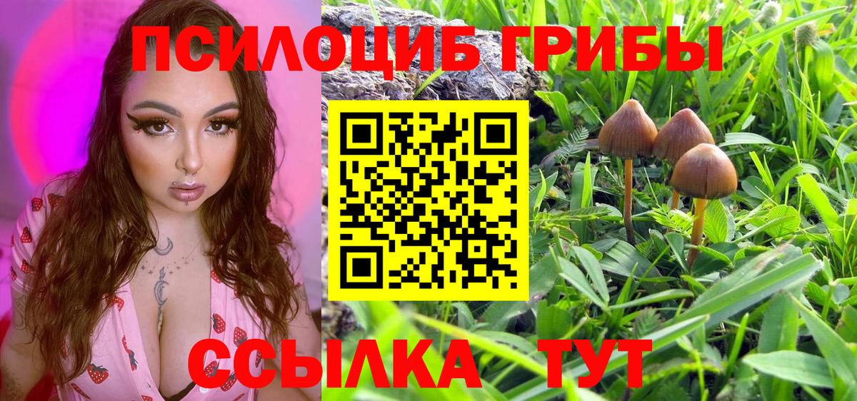 Галлюциногенные грибы Psilocybe Кувандык