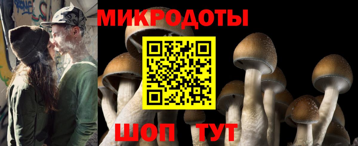 даркнет сайт  Вход с VPN  Галлюциногенные грибы ЛСД  Кувандык  Галлюциногенные грибы Psilocybine cubensis 